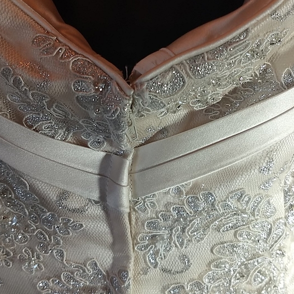 Exquisitely detailed one of a kind gown. - Picture 5 of 12